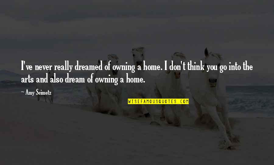 Dreamed Of You Quotes By Amy Seimetz: I've never really dreamed of owning a home.