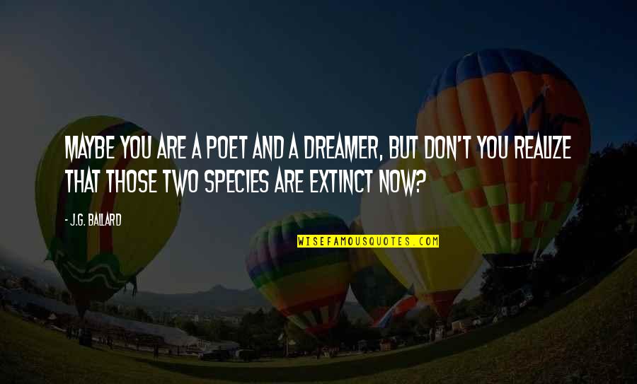 Dreamer Poet Quotes By J.G. Ballard: Maybe you are a poet and a dreamer, Dreamer Poet Quotes By J.G. Ballard: Maybe you are a poet and a dreamer,
