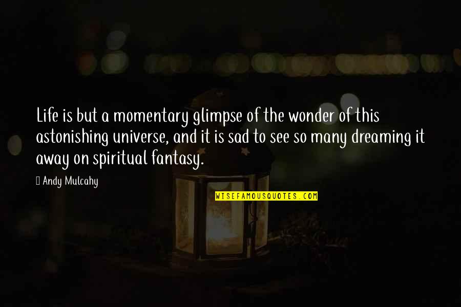 Dreaming And Fantasy Quotes By Andy Mulcahy: Life is but a momentary glimpse of the