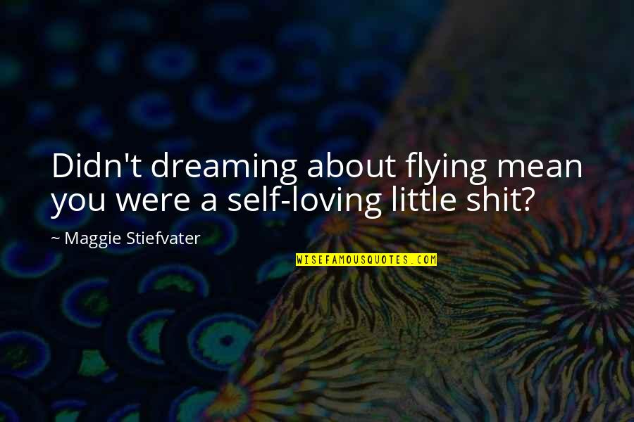 Dreaming And Flying Quotes By Maggie Stiefvater: Didn't dreaming about flying mean you were a