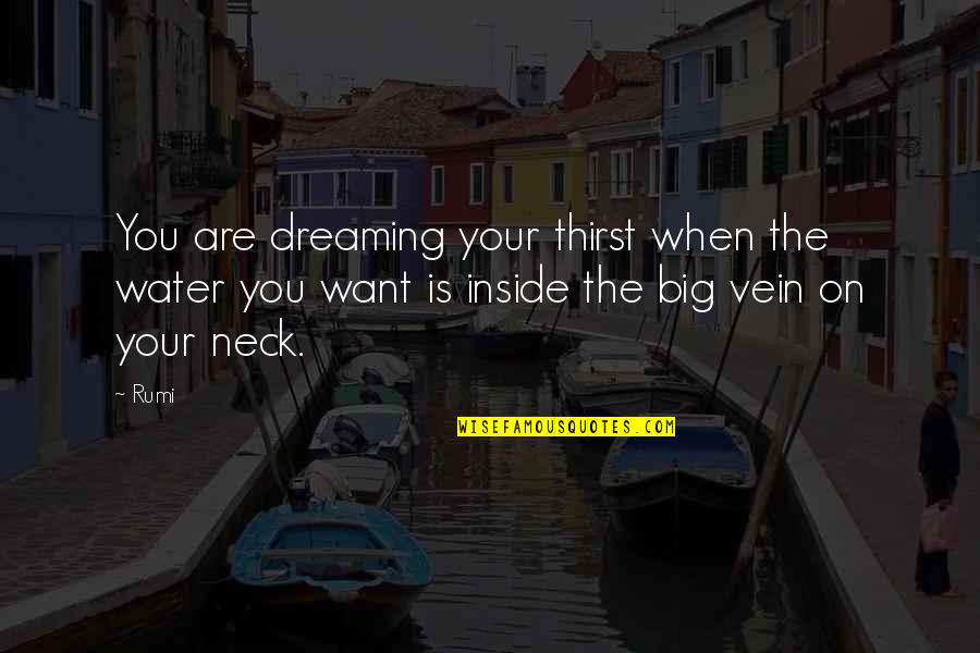 Dreaming Big Quotes By Rumi: You are dreaming your thirst when the water