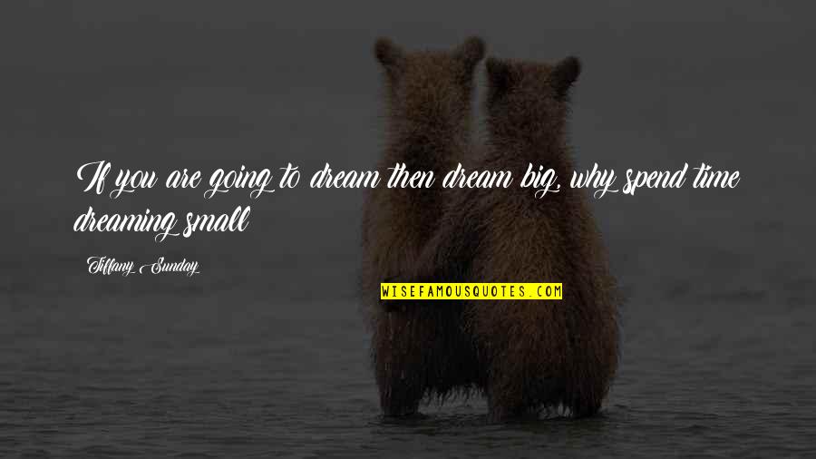 Dreaming Big Quotes By Tiffany Sunday: If you are going to dream then dream
