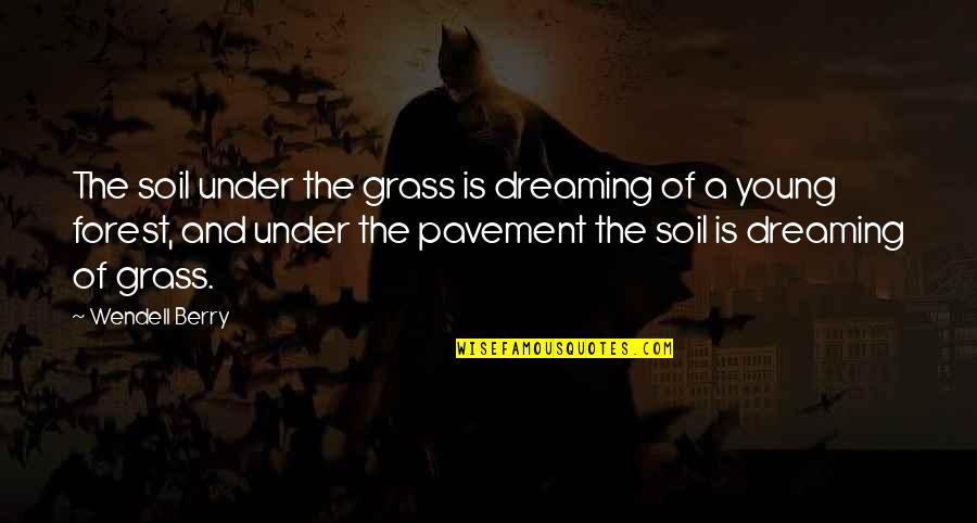 Dreaming Dreams Quotes By Wendell Berry: The soil under the grass is dreaming of Dreaming Dreams Quotes By Wendell Berry: The soil under the grass is dreaming of