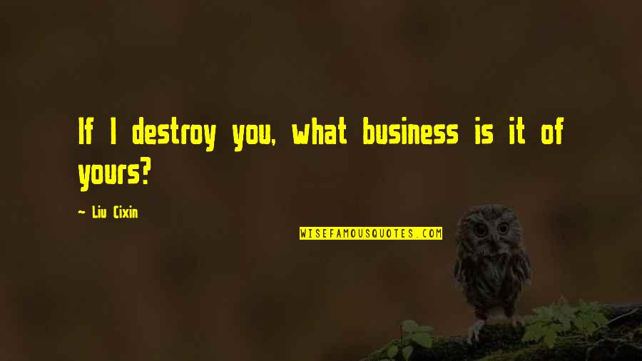 Dreaming Of A Better Future Quotes By Liu Cixin: If I destroy you, what business is it