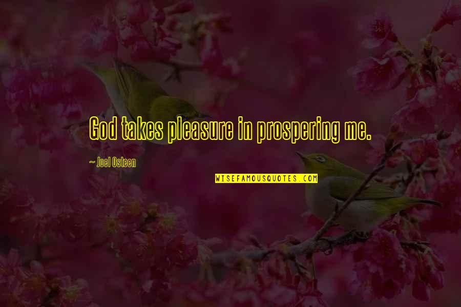 Dreaming Of A Better Life Quotes By Joel Osteen: God takes pleasure in prospering me.