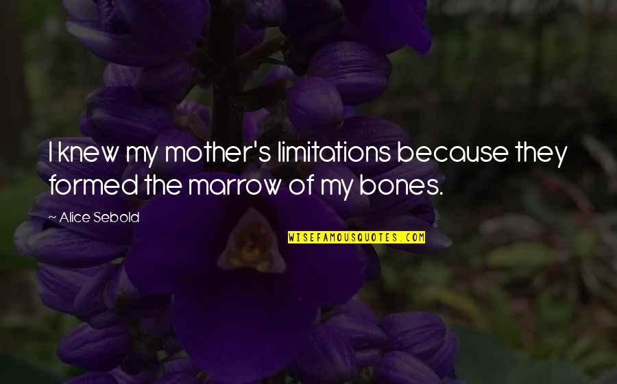 Dreaming The Same Dream Quotes By Alice Sebold: I knew my mother's limitations because they formed