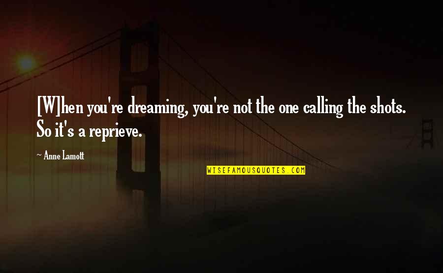 Dreaming's Quotes By Anne Lamott: [W]hen you're dreaming, you're not the one calling