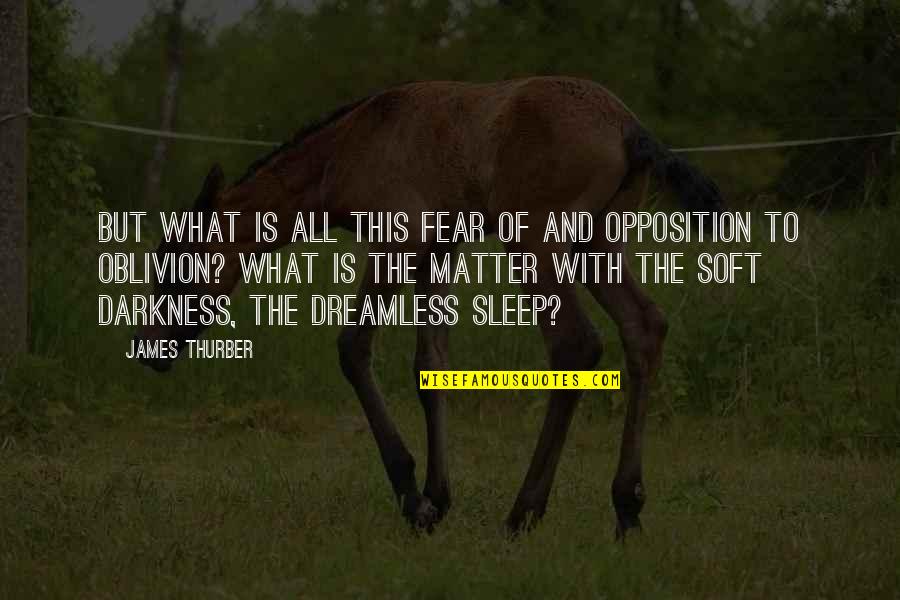 Dreamless Quotes By James Thurber: But what is all this fear of and Dreamless Quotes By James Thurber: But what is all this fear of and