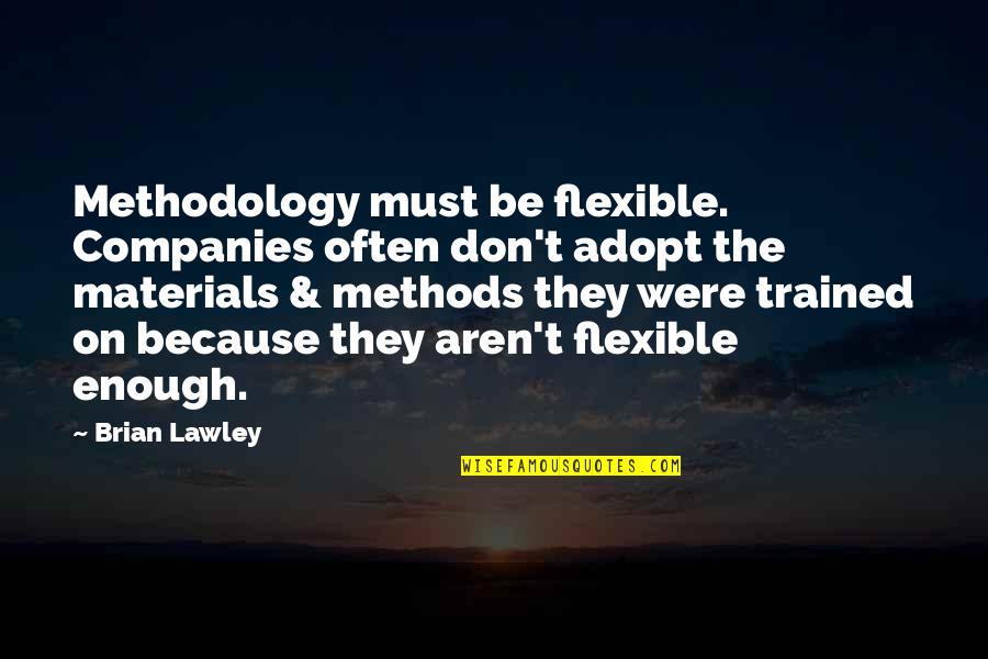 Dreamplace Experience Quotes By Brian Lawley: Methodology must be flexible. Companies often don't adopt Dreamplace Experience Quotes By Brian Lawley: Methodology must be flexible. Companies often don't adopt