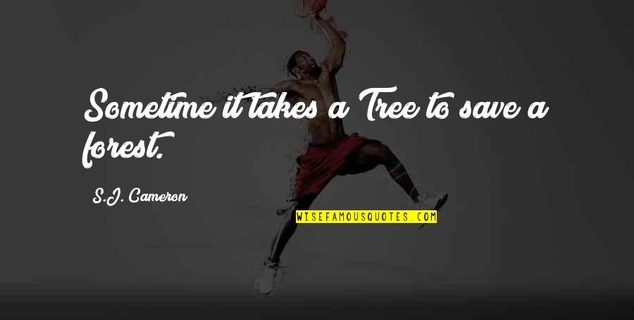 Dreamplace Experience Quotes By S.J. Cameron: Sometime it takes a Tree to save a Dreamplace Experience Quotes By S.J. Cameron: Sometime it takes a Tree to save a
