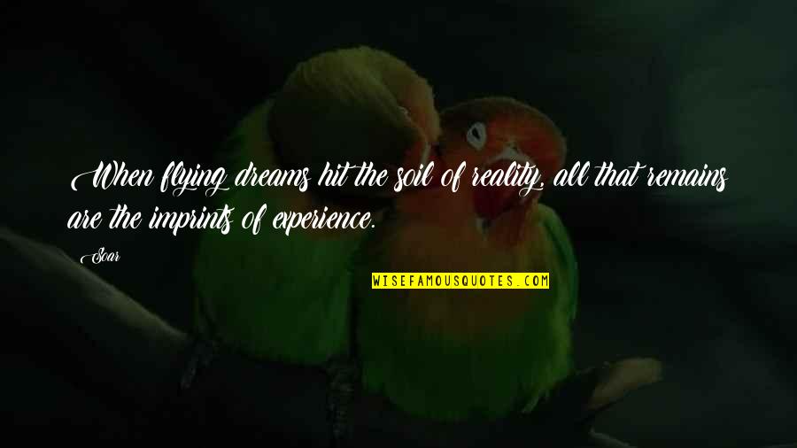 Dreams And Flying Quotes By Soar: When flying dreams hit the soil of reality,