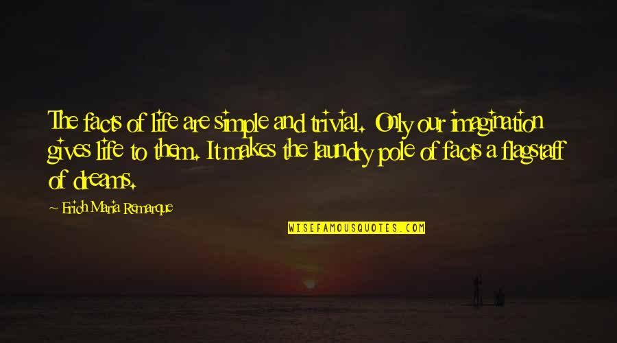 Dreams And Imagination Quotes By Erich Maria Remarque: The facts of life are simple and trivial.