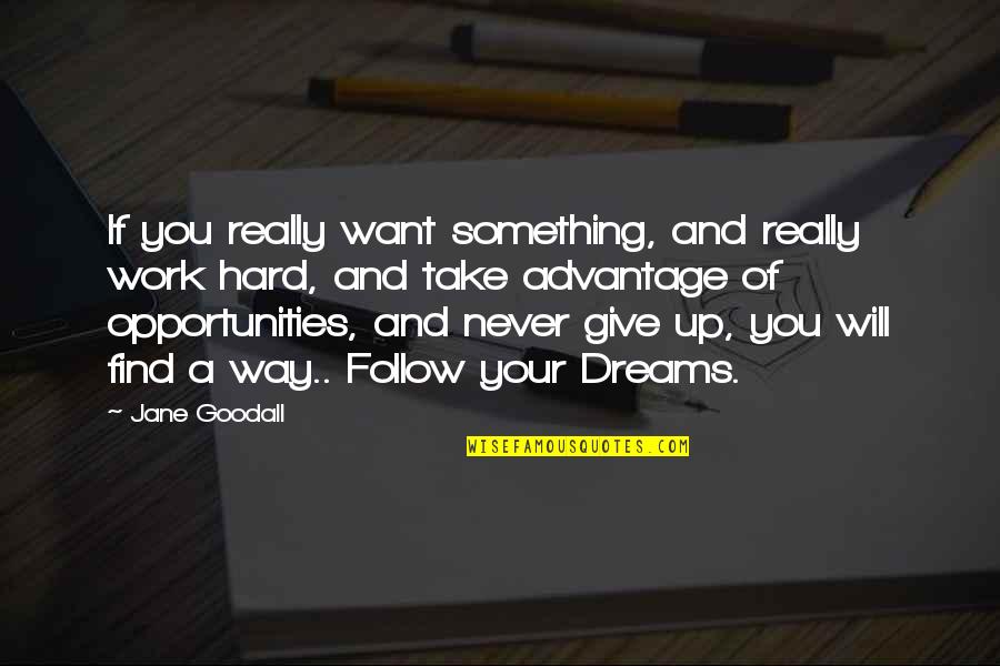 Dreams And Opportunities Quotes By Jane Goodall: If you really want something, and really work