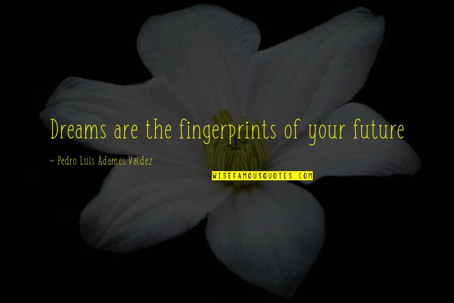 Dreams For The Future Quotes By Pedro Luis Adames Valdez: Dreams are the fingerprints of your future