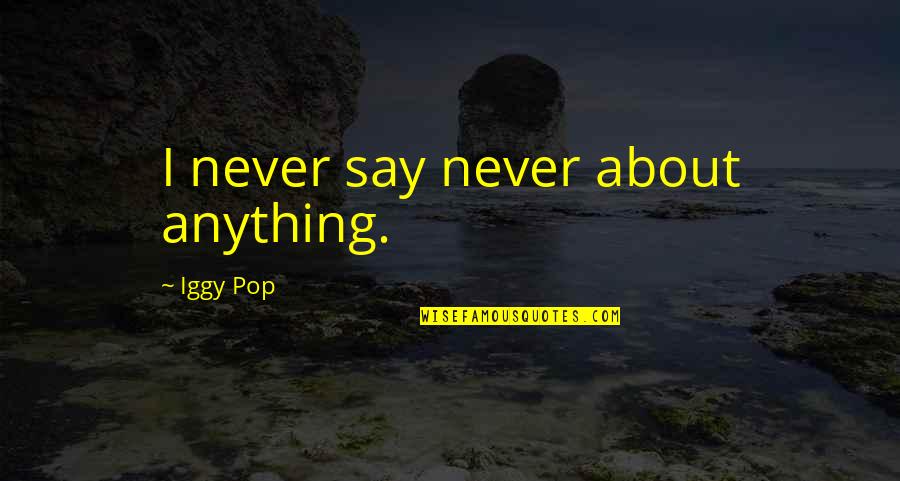 Dreams From D Jakes Quotes By Iggy Pop: I never say never about anything.
