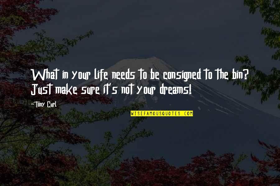 Dreams In Life Quotes By Tony Curl: What in your life needs to be consigned