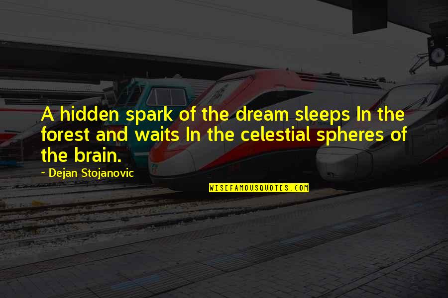 Dreams In Poetry Quotes By Dejan Stojanovic: A hidden spark of the dream sleeps In Dreams In Poetry Quotes By Dejan Stojanovic: A hidden spark of the dream sleeps In