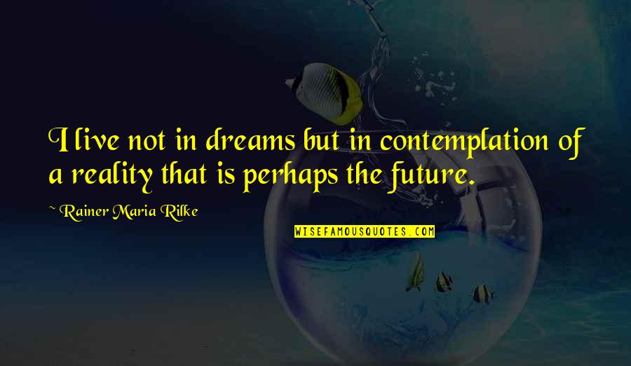 Dreams In Poetry Quotes By Rainer Maria Rilke: I live not in dreams but in contemplation Dreams In Poetry Quotes By Rainer Maria Rilke: I live not in dreams but in contemplation