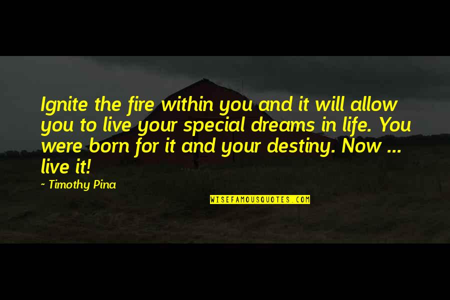 Dreams In Your Life Quotes By Timothy Pina: Ignite the fire within you and it will
