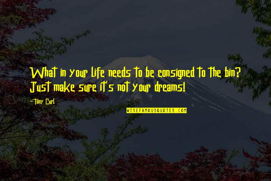 Dreams In Your Life Quotes By Tony Curl: What in your life needs to be consigned