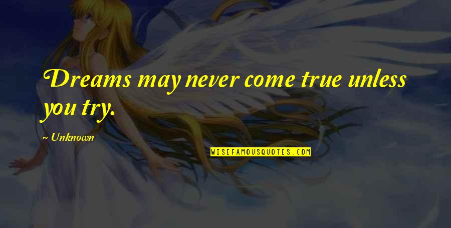 Dreams May Come True Quotes By Unknown: Dreams may never come true unless you try.