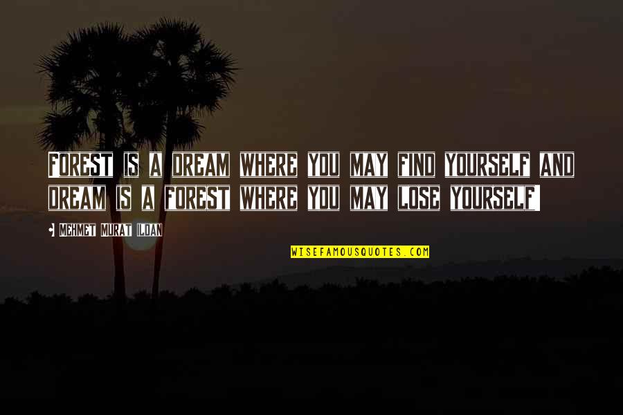 Dreams Quotes And Quotes By Mehmet Murat Ildan: Forest is a dream where you may find Dreams Quotes And Quotes By Mehmet Murat Ildan: Forest is a dream where you may find