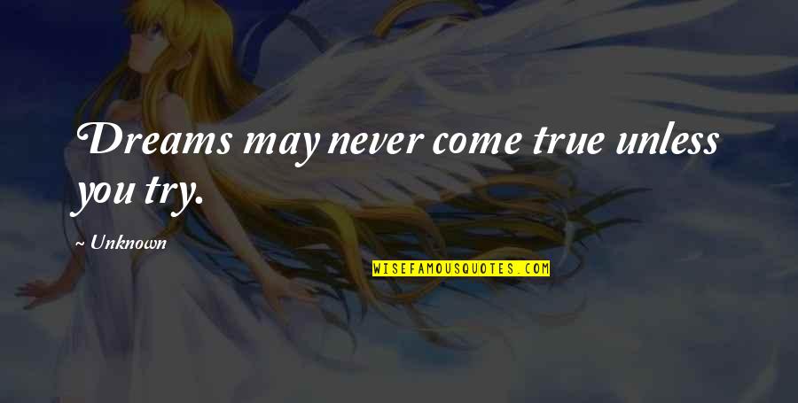 Dreams That Never Come True Quotes By Unknown: Dreams may never come true unless you try.