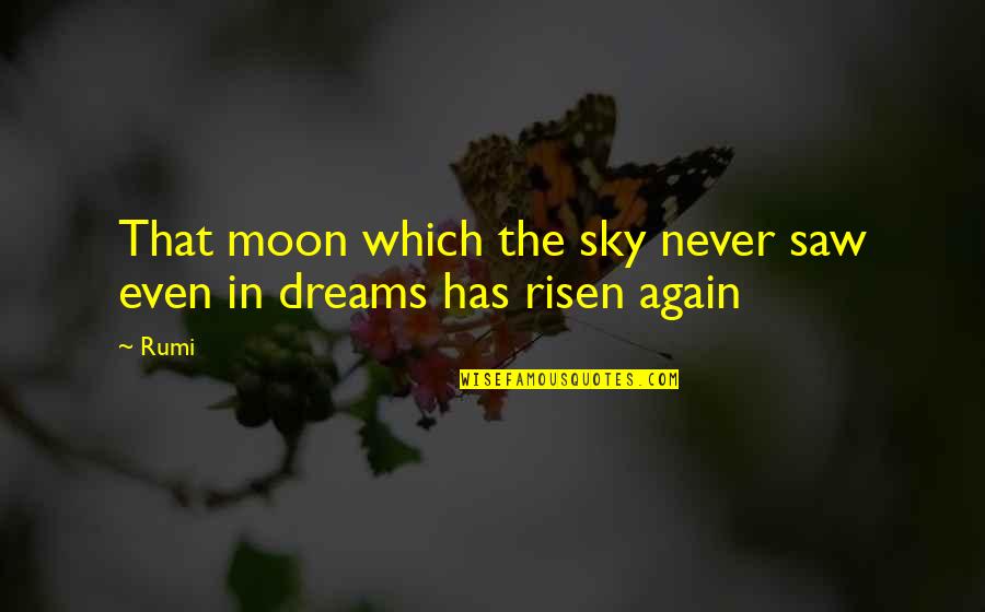 Dreams We Saw Quotes By Rumi: That moon which the sky never saw even