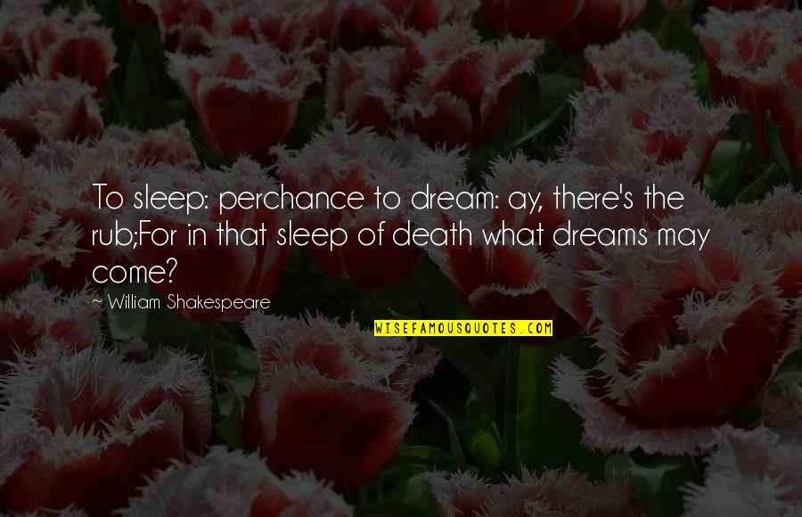 Dreams William Shakespeare Quotes By William Shakespeare: To sleep: perchance to dream: ay, there's the