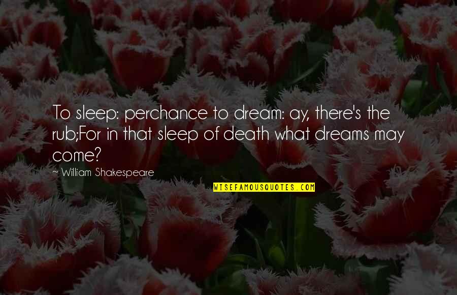 Dreams William Shakespeare Quotes By William Shakespeare: To sleep: perchance to dream: ay, there's the Dreams William Shakespeare Quotes By William Shakespeare: To sleep: perchance to dream: ay, there's the