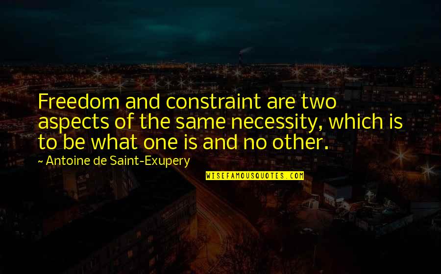 Dreamscapes Landscaping Quotes By Antoine De Saint-Exupery: Freedom and constraint are two aspects of the