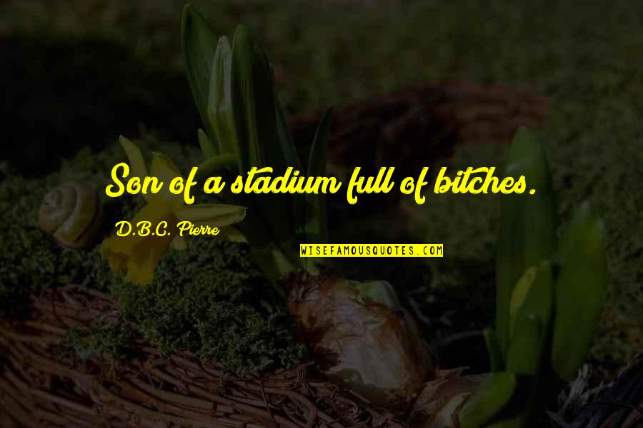 Dreamt Of You Last Night Quotes By D.B.C. Pierre: Son of a stadium full of bitches. Dreamt Of You Last Night Quotes By D.B.C. Pierre: Son of a stadium full of bitches.
