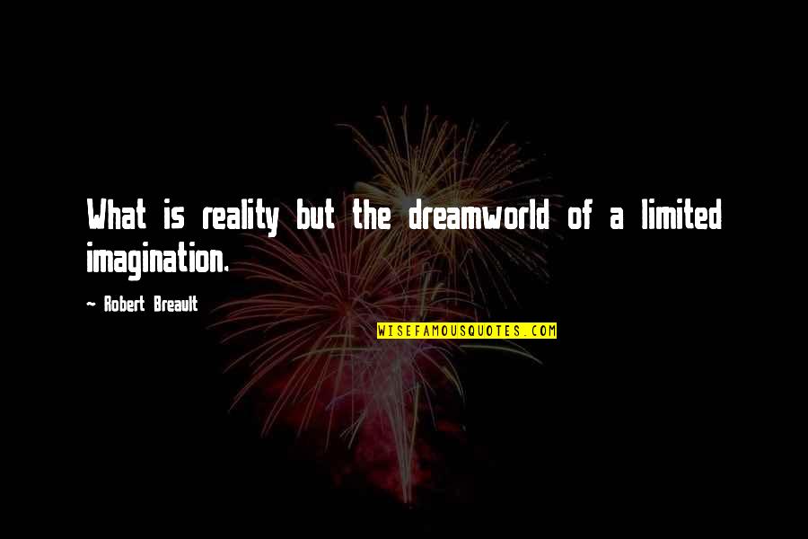 Dreamworld Quotes By Robert Breault: What is reality but the dreamworld of a