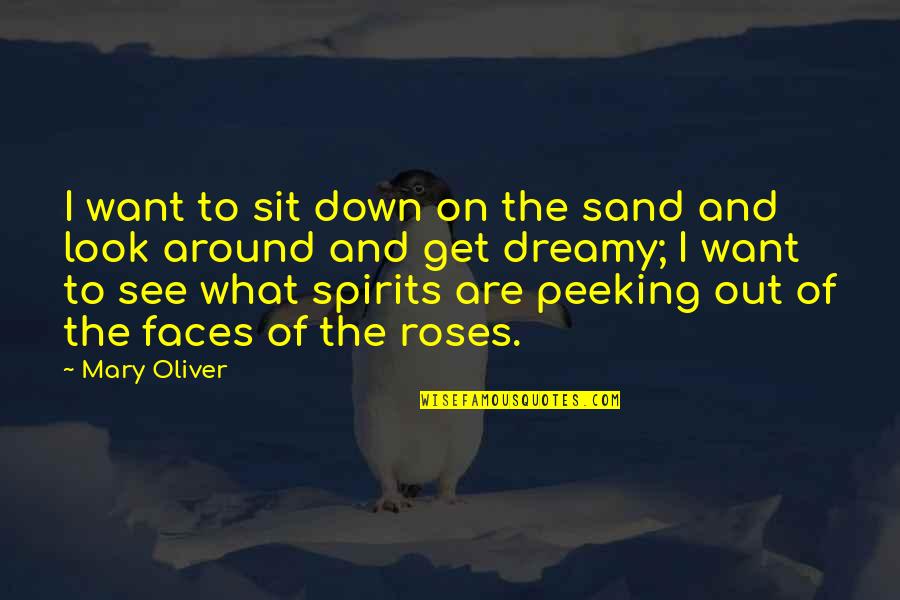 Dreamy Look Quotes By Mary Oliver: I want to sit down on the sand