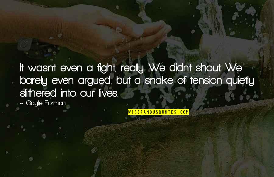 Drefan Quotes By Gayle Forman: It wasn't even a fight, really. We didn't Drefan Quotes By Gayle Forman: It wasn't even a fight, really. We didn't