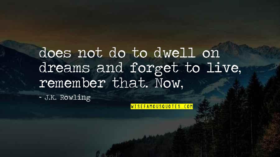 Drele Gr Quotes By J.K. Rowling: does not do to dwell on dreams and