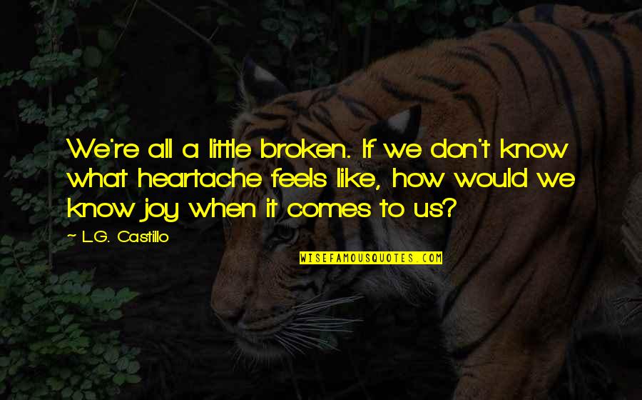 Drele Gr Quotes By L.G. Castillo: We're all a little broken. If we don't