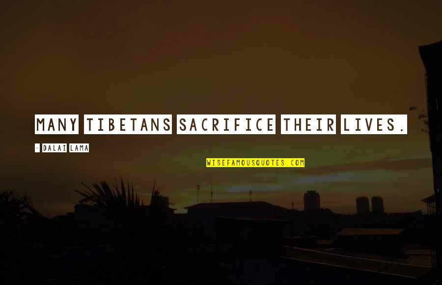 Drenche Quotes By Dalai Lama: Many Tibetans sacrifice their lives.