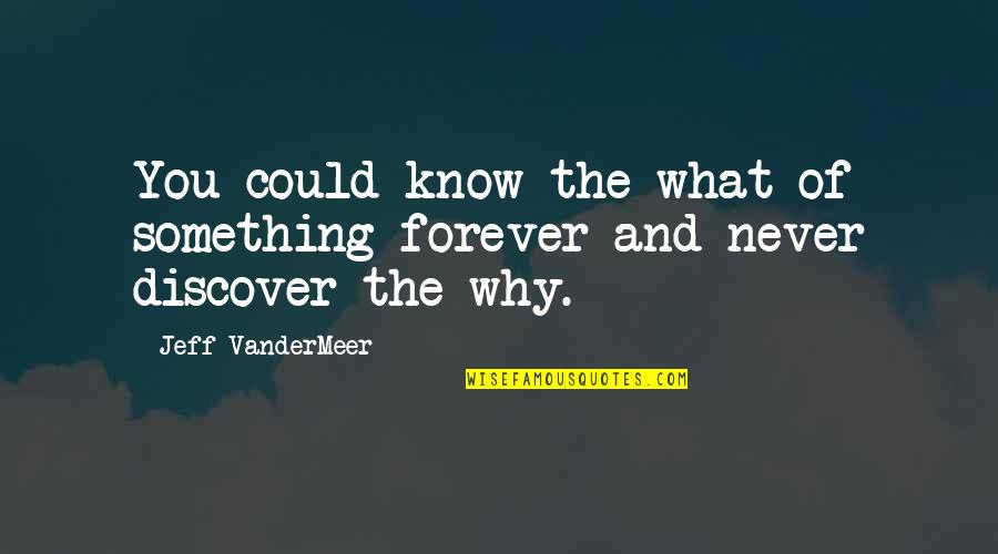 Dresink Quotes By Jeff VanderMeer: You could know the what of something forever