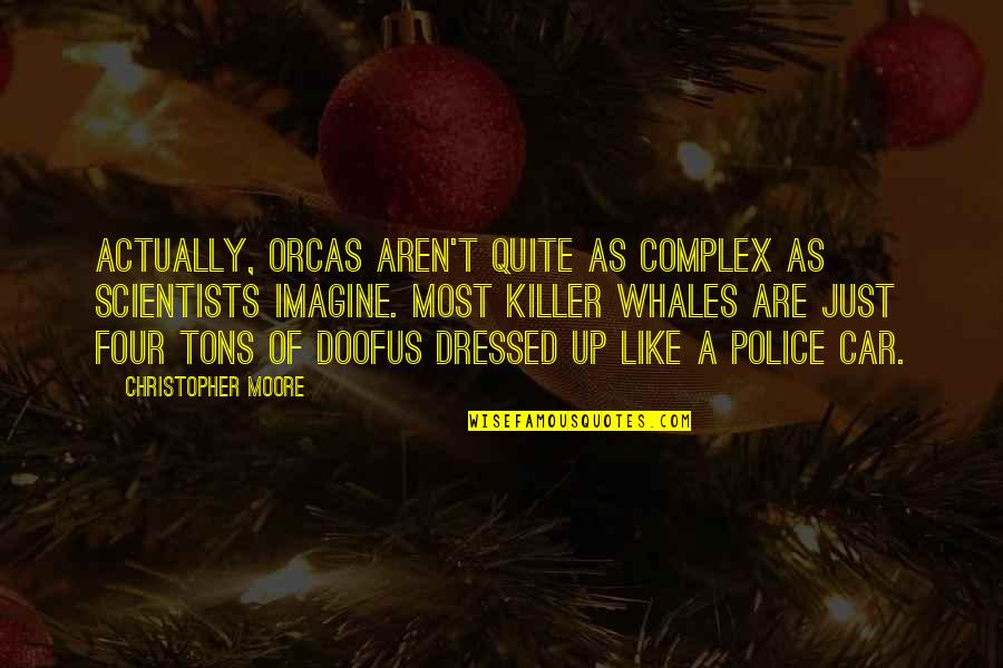 Dressed Up Quotes By Christopher Moore: Actually, orcas aren't quite as complex as scientists