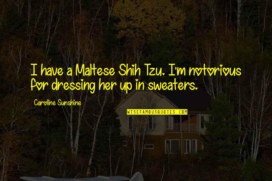 Dressing Up Quotes By Caroline Sunshine: I have a Maltese Shih Tzu. I'm notorious