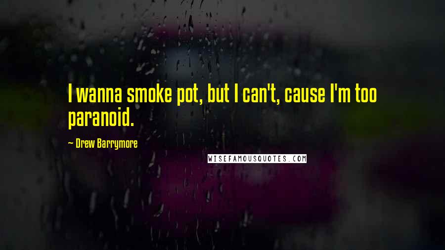 Drew Barrymore quotes: I wanna smoke pot, but I can't, cause I'm too paranoid.