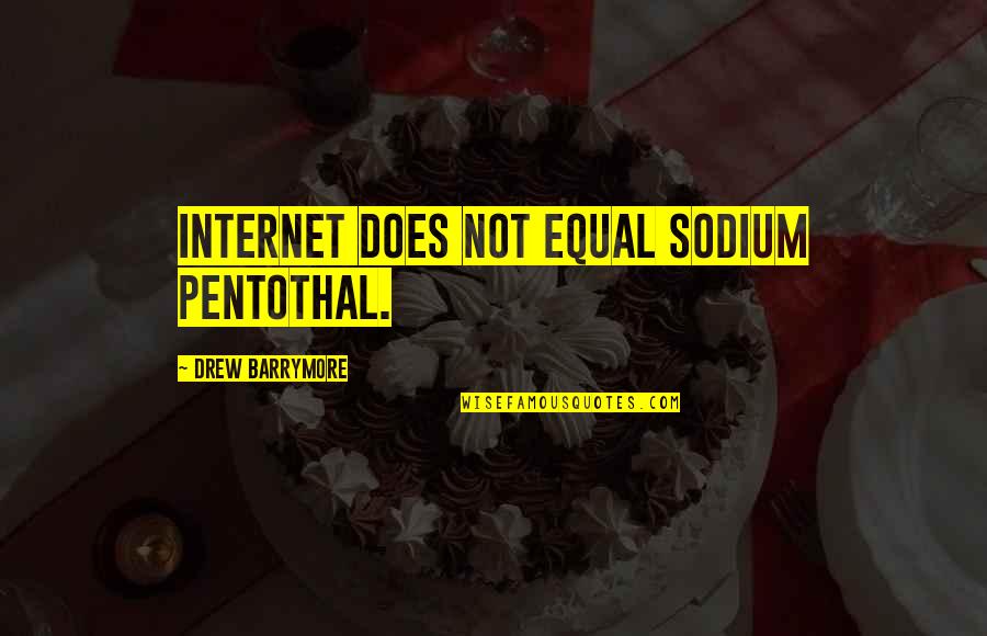 Drew Quotes By Drew Barrymore: Internet does not equal sodium pentothal.