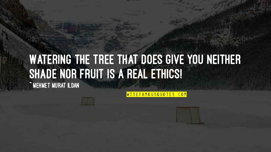 Drglennsrothfeld Quotes By Mehmet Murat Ildan: Watering the tree that does give you neither Drglennsrothfeld Quotes By Mehmet Murat Ildan: Watering the tree that does give you neither