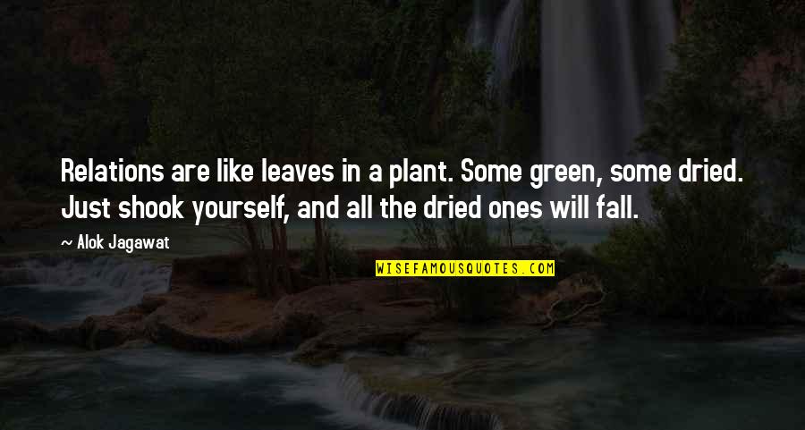 Dried Quotes By Alok Jagawat: Relations are like leaves in a plant. Some