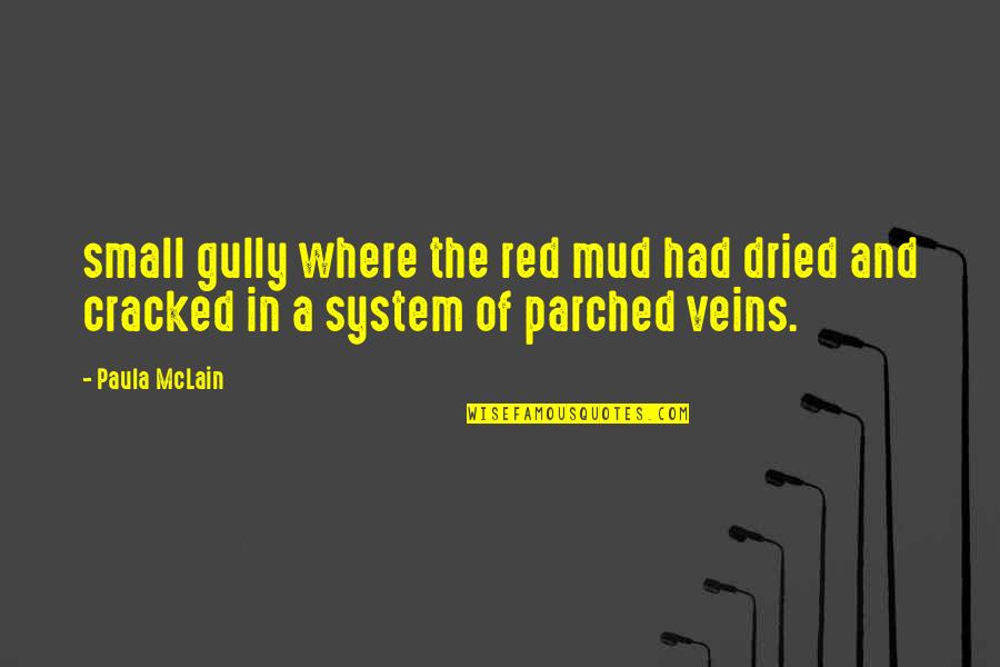 Dried Quotes By Paula McLain: small gully where the red mud had dried