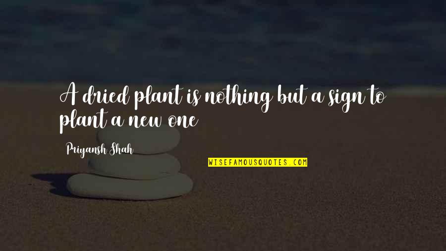 Dried Quotes By Priyansh Shah: A dried plant is nothing but a sign