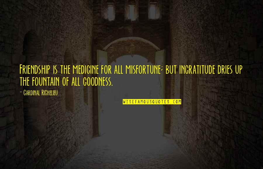 Dries Quotes By Cardinal Richelieu: Friendship is the medicine for all misfortune; but Dries Quotes By Cardinal Richelieu: Friendship is the medicine for all misfortune; but