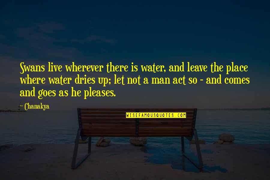 Dries Quotes By Chanakya: Swans live wherever there is water, and leave Dries Quotes By Chanakya: Swans live wherever there is water, and leave