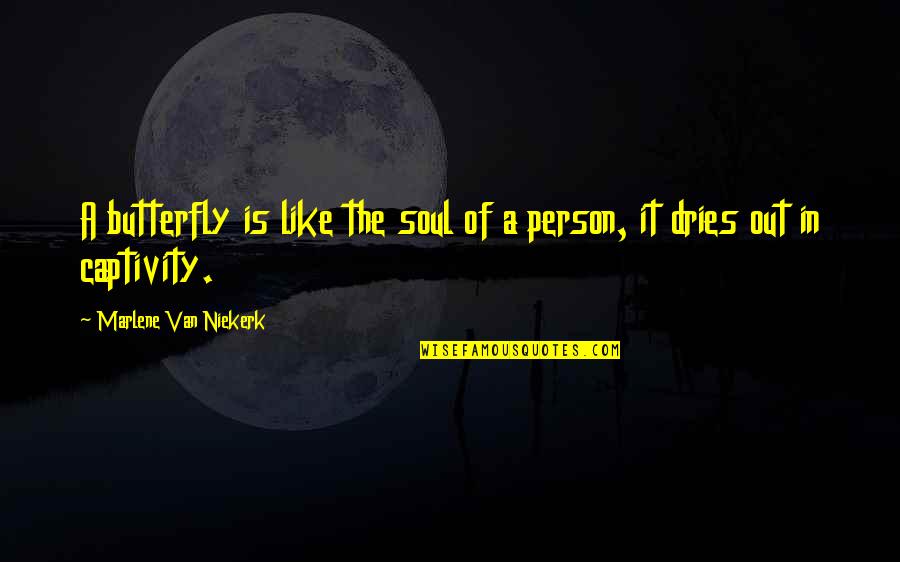 Dries Quotes By Marlene Van Niekerk: A butterfly is like the soul of a Dries Quotes By Marlene Van Niekerk: A butterfly is like the soul of a